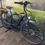 Pegasus Ravenna – Elektrische Herenfiets / Riem-aandrijving, Overige merken, Ophalen of Verzenden, Zo goed als nieuw, 47 tot 51 cm