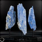Kyaniet ruwe steen-set – fascinerende natuurvormen in intens, Verzamelen, Mineralen en Fossielen