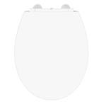 Toiletbril Schutte Lupos Softclose en LED-nachtverlichting, Ophalen of Verzenden, Nieuw