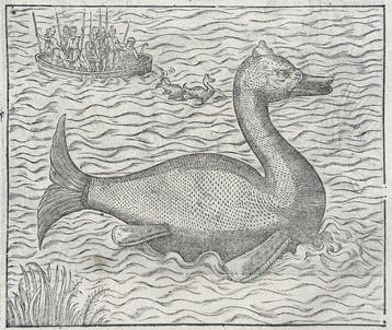 Ambroise Paré (1510–1590) - Sea Monsters and Monstrous Fish, Nieuw