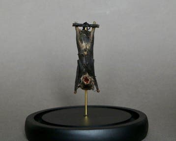 Vleermuis Taxidermie volledige montage - Pipistrelus sp. -, Verzamelen, Nieuw
