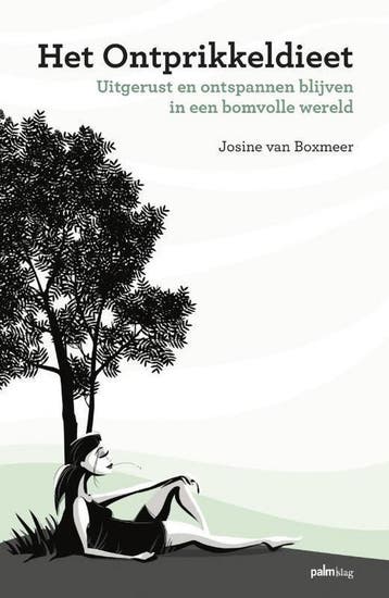 Het ontprikkeldieet - Josine van Boxmeer 9789493059016, Verzenden, Zo goed als nieuw, Josine van Boxmeer