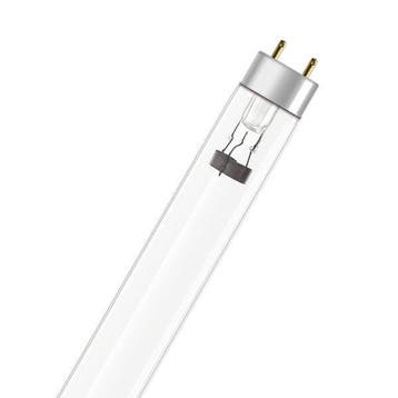 OP=OP Ledvance TUV TL-D 36W T8 UV-C-lamp | G13 | 1200mm (..., Ophalen of Verzenden, Nieuw