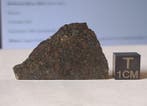 NWA 12590 - meteoriet chondriet koolstofrijke CVred3 -