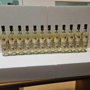 2024 Cantina Gattavecchi ,Vernaccia di San Gimignano -, Nieuw