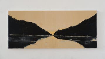 Matthieu van Riel - Avondlicht