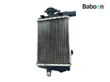 Radiateur Rechts BMW R 1200 GS 2017-2018 (R1200GS 17 LC K50), Verzenden, Gebruikt