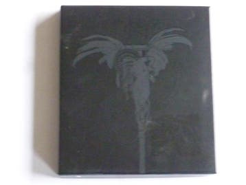 Paradise Lost - Tragic Idol (CD + DVD), Ophalen of Verzenden, Zo goed als nieuw