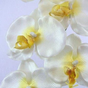 Panda Orchidee Spray Creme Zijden, Ophalen of Verzenden, Nieuw