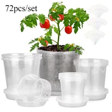 Transparante Kweekpotten Set met Trays en Labels (72 Stuks), Tuin en Terras, Bloempotten, Verzenden, Nieuw