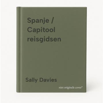 Spanje / Capitool reisgidsen - Sally Davies 9789000386895, Boeken, Verzenden, Gelezen, Sally Davies