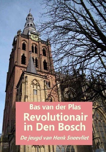 Revolutionair in Den Bosch 9789076539065 Bas van der Plas, Boeken, Verzenden, Gelezen, Bas van der Plas