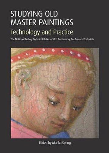 Studying Old Master Paintings - Marika Spring 9781904982630, Verzenden, Gelezen, Marika Spring