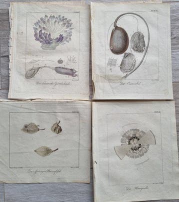 Johann Wolf (1765/ 1824 - Ambrosius Gabler (1762–1834) - Lot, Antiek en Kunst