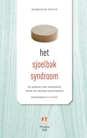 Het sjoelbaksyndroom - Maarten de Winter 9789043021937, Verzenden, Zo goed als nieuw, Maarten de Winter