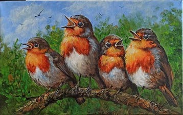 Tomasz Bednarski (1965) - Robins singing