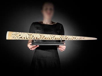 Geen reserveprijs - Grote gegraveerde zwaardvis-tand op een