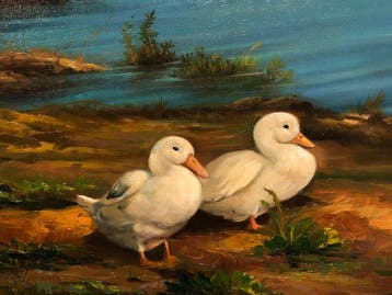 European School (XX) - Feathered Friends