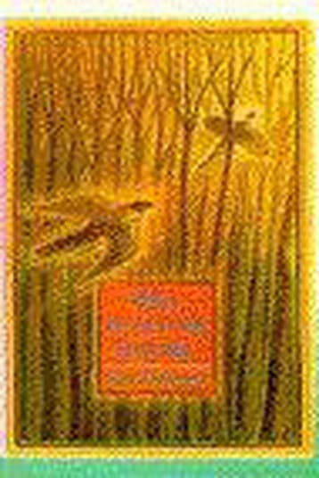 Het woud der belofte - Jean Hegland 9789041005816, Boeken, Verzenden, Gelezen, Jean Hegland