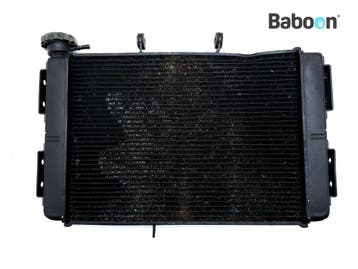 Radiateur Triumph Tiger Sport 660 2022-2024, Verzenden, Gebruikt