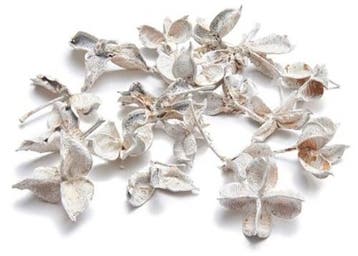 Cotton Pau terra Estrela Katoenster Frosted White 500 gram, Ophalen of Verzenden, Nieuw