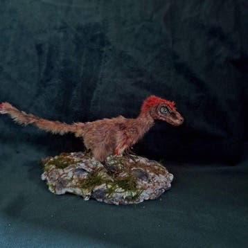Dinosaurus Taxidermie volledige montage - Pyroraptor - 13 cm