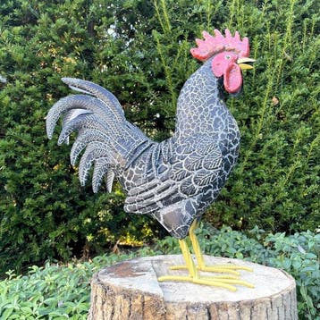 sculptuur, Schitterende haan - 37.5 cm - IJzer