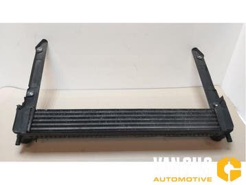 Intercooler Volkswagen Polo O194995, Ophalen of Verzenden, Nieuw