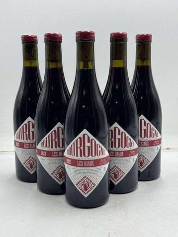 2023 Domaine Derain Les Riaux Bourgogne - Bourgogne - 6, Nieuw