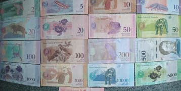 17 verschillende bankbiljetten Venezuela, dier motieven., Ophalen of Verzenden, Zuid-Amerika, Setje
