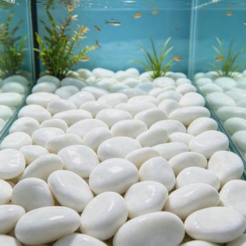 Witte Rivierstenen 2-3cm (250/600g) - Gladde Decoratieve Kie, Dieren en Toebehoren, Vissen | Aquaria en Toebehoren, Verzenden