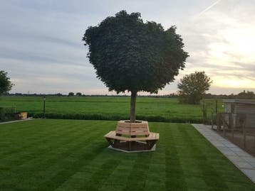 Boombank op maat gemaakt, Tuin en Terras, Tuinbanken, Nieuw, Hout