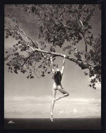 Patrick Demarchelier: Photographs - Patrick Demarchelier, Boeken, Verzenden, Zo goed als nieuw, Patrick Demarchelier