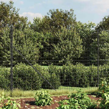 vidaXL Draadgaashek met grondankers 1,6x10 m, Tuin en Terras, Verzenden, Nieuw, IJzer, 1 tot 2 meter