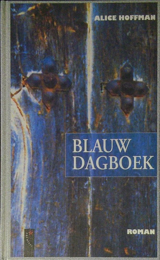 Blauw dagboek 9789063050375 Alice Hoffman, Boeken, Romans, Gelezen, Verzenden