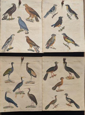 Bilderbuch für Kinder, Band XI - 1824, Antiek en Kunst, Antiek | Boeken en Bijbels