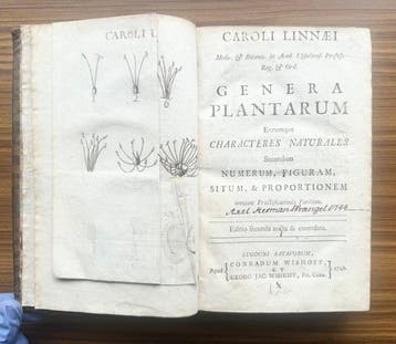 Linnaeus, Carolus - Genera Plantarum [Axel Herman Wrangels