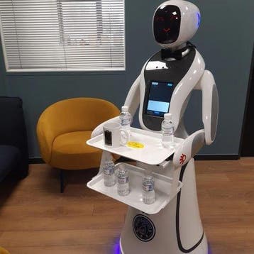 Humanooid service robot (robot serveur) - Computer (1), Nieuw