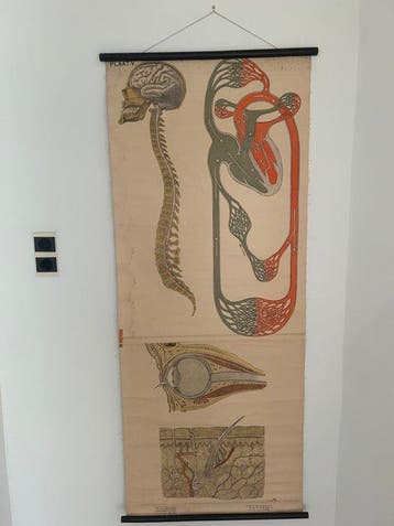 Prof. J.A.J. Barge - G.B. van Goor - Schoolplaat van de, Antiek en Kunst