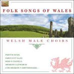 cd - Various - Folk Songs of Wales, Verzenden, Zo goed als nieuw