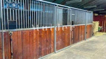 Gebruikte paardenstallen | Grote voorraad | Leveren mogelijk, Dieren en Toebehoren, Weidegang