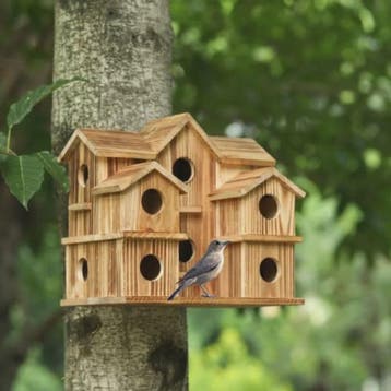 Groot Houten Vogelhuis voor Tuin & Binnenplaats - Handgemaak