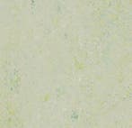 Forbo Marmoleum Splash 3430 salsa verde, Verzenden, Nieuw