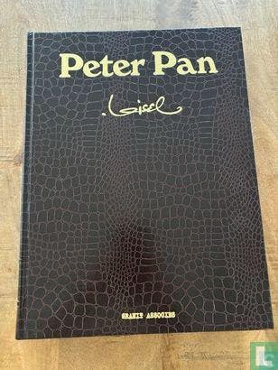 Peter Pan - 2006, Boeken, Stripboeken, Zo goed als nieuw, Eén stripboek, Verzenden