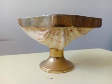 Vide-poche - schelp - Italië - Regency-stijl