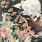 cd - The Shins - Heartworms, Verzenden, Zo goed als nieuw