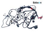 Kabelboom BMW C 600 Sport (C600 K18) (8525427), Motoren, Verzenden, Gebruikt
