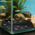 Aquarium Ondergrondse Tunnel Vis Garnalen Schuilplaats, Dieren en Toebehoren, Vissen | Aquaria en Toebehoren, Verzenden, Nieuw