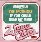 vinyl single 7 inch - The Spotnicks - Amapola / If You Co..., Verzenden, Zo goed als nieuw