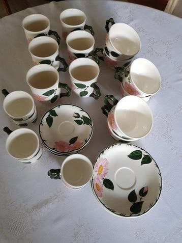 Villeroy & Boch - Kop en schotel - Wild-Rose - Keramiek